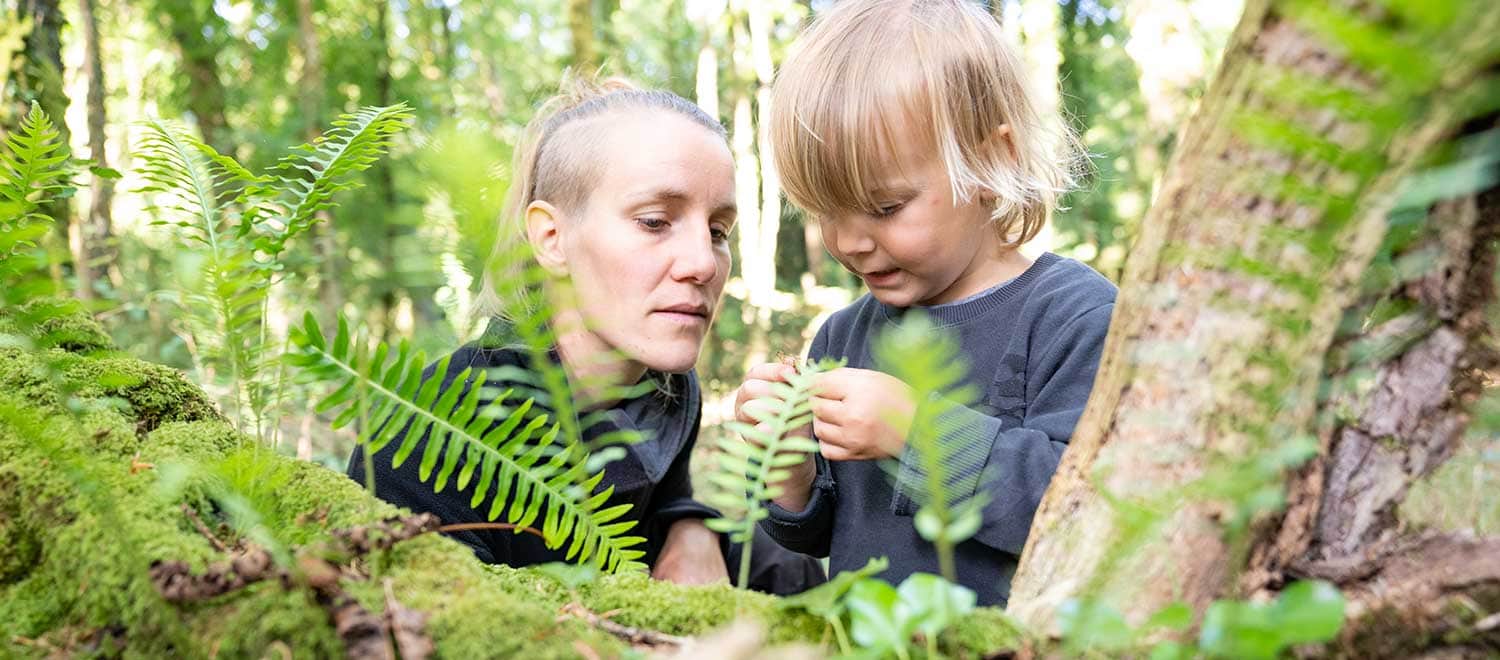 Bei unserer Wildnispädagogik Familien Aktivität in Berlin zeigt eine Mutter ihrem Sohn die Pflanzen in unserem Wald der Wildnissschule.