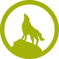 icon-survival-bushcraft-wildnisschule-lupus-wolf Wolf by Fabyano de Tiburi from the Noun Project