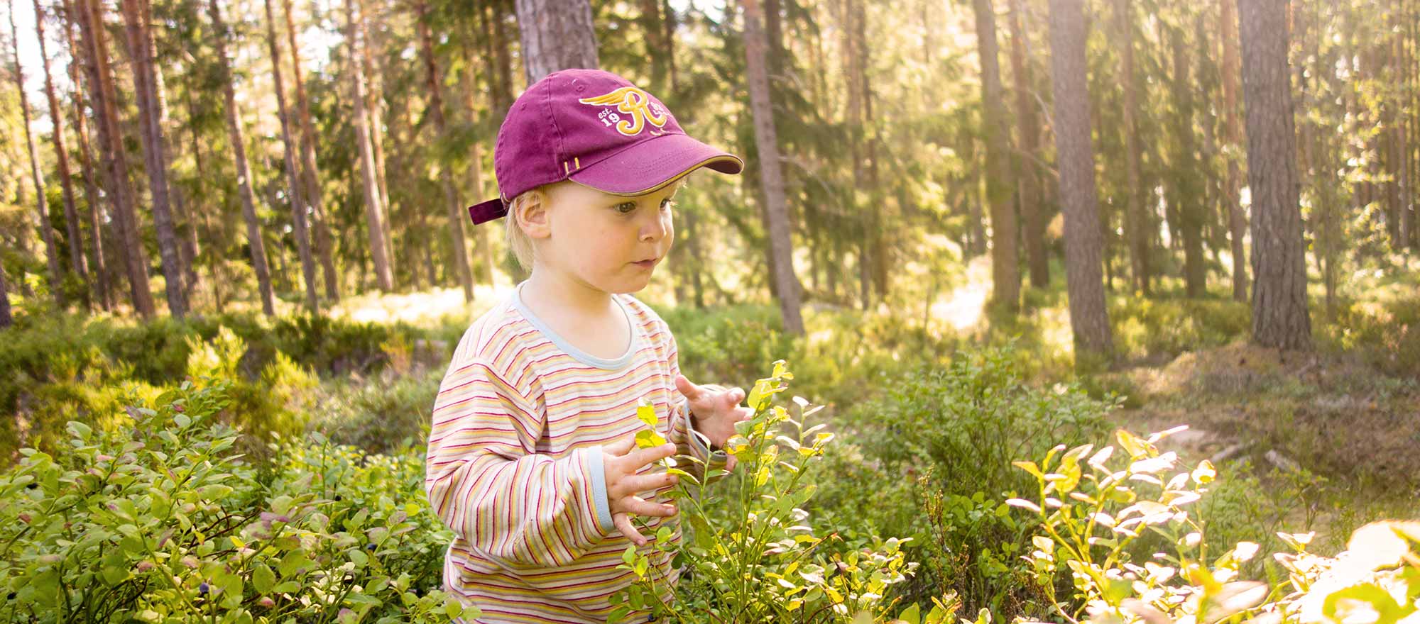Wildnis Familiencamp wildnisschule für kinder berlin urlaub mit kindern familiencamp - Wildnis Familiencamp