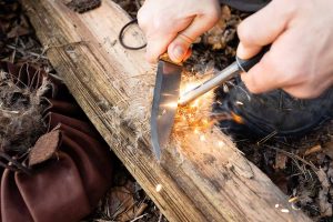 Mit einem Feuerstahl kann beim Survival oder Buschraft Training die Samen des Schilfrohr perfekt als Zunder genutzt werden.