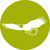 survival kurs icon 2 survival kurs icon 2