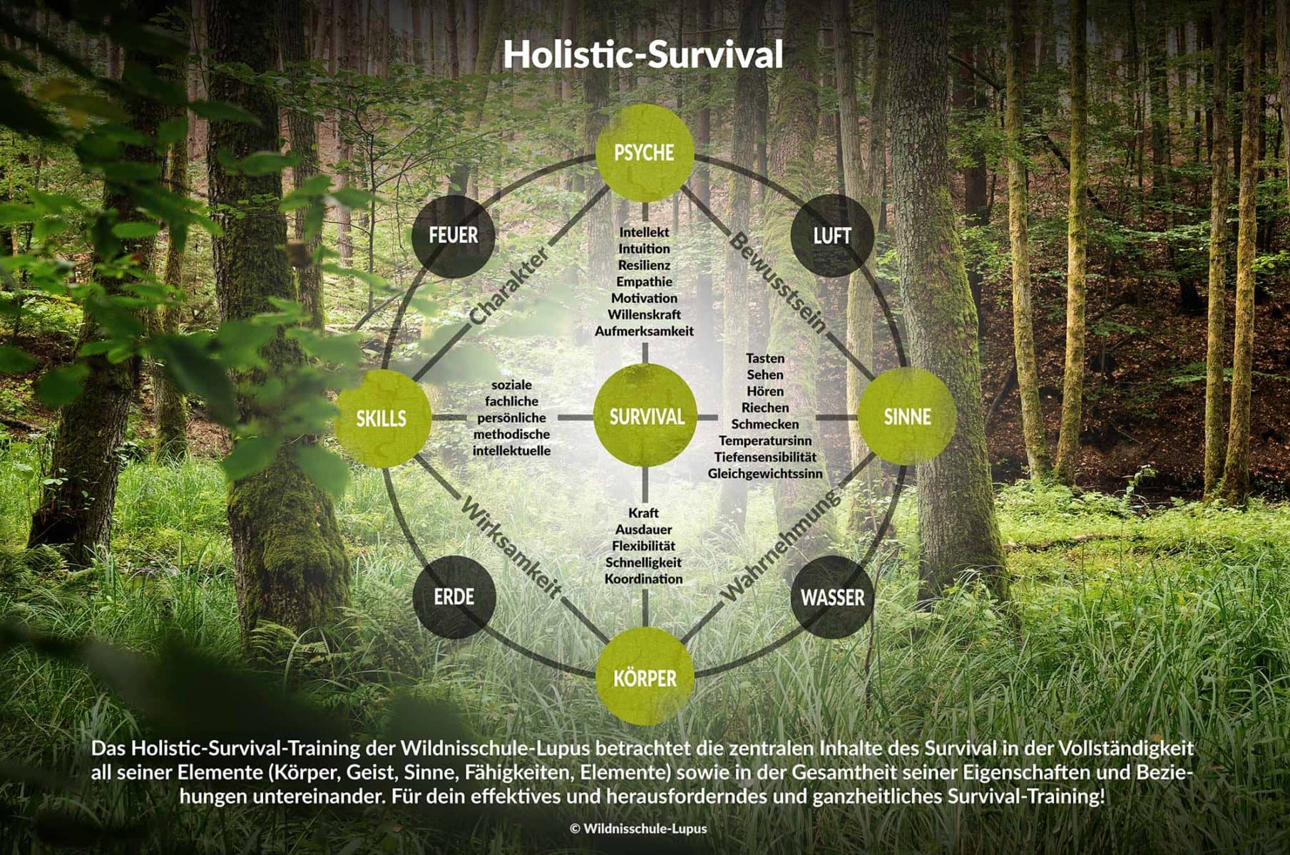 Die Grafik zeigt unser einzigartiges Holistic-Survival-Training. in unsere ganzheitlichen Konzept beziehen wir die Förderung aller Elemente des Menschen und der Natur mit in unser Programmgestaltung mit ein.