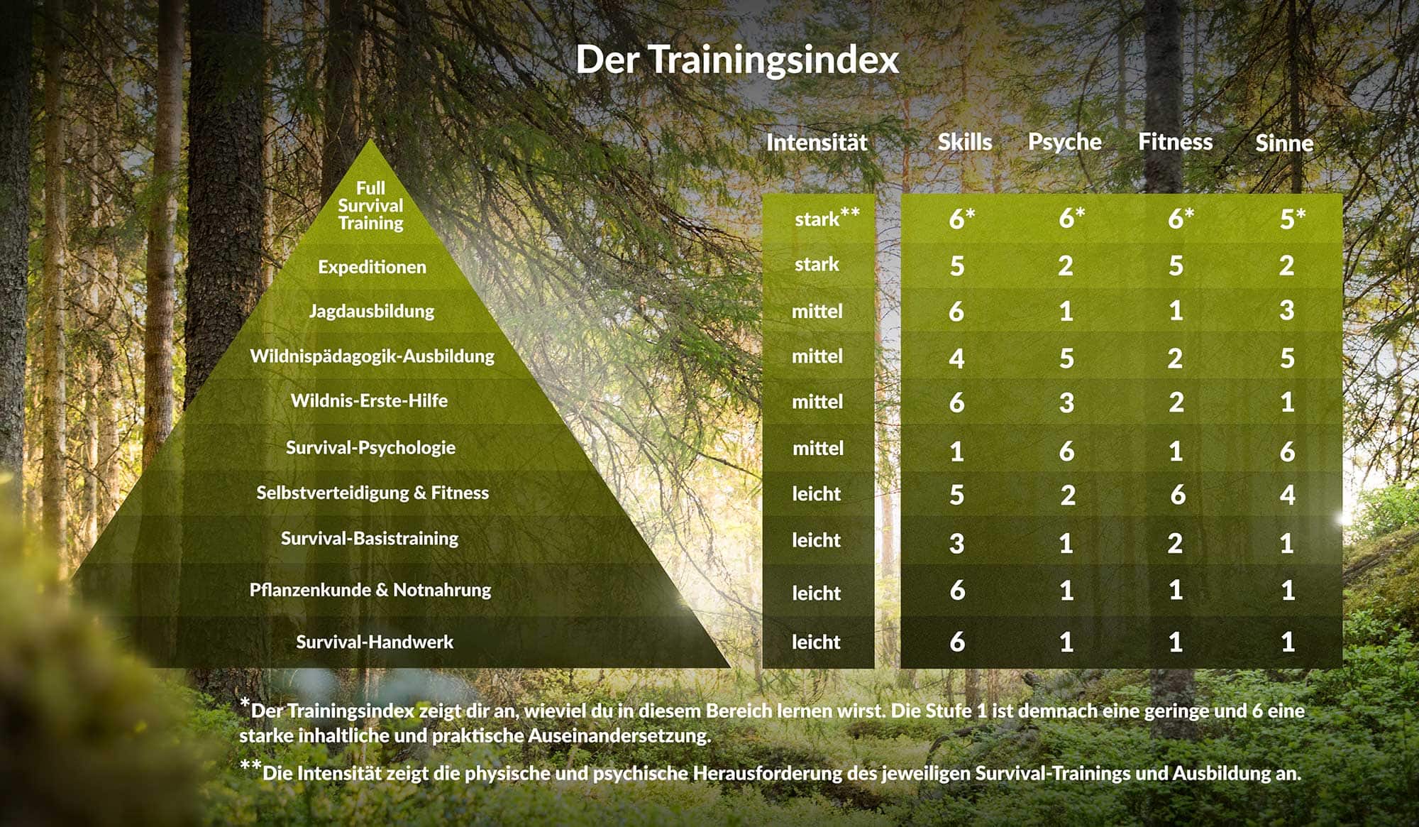 Der Survival-Trainingsindex. Eine Grafik für die Entscheidungshilfe bei der Auswahl des richten Kurs- und Ausbildungsangebots unserer Survival- und Wildnisschule.