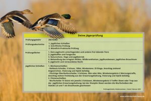 Übersicht und grafische Darstellung der Inhalte der Jägerprüfung. Hier sind alle wichtigen Details wie Prüfungsabschnitte die mündliche und schriftliche sowie die Schießprüfung aufgezeigt.