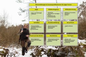 Übersicht und grafische Darstellung der Weiterbildungsmöglichkeiten und Zusatzqualifikationen für Jäger und Jägerinnen.