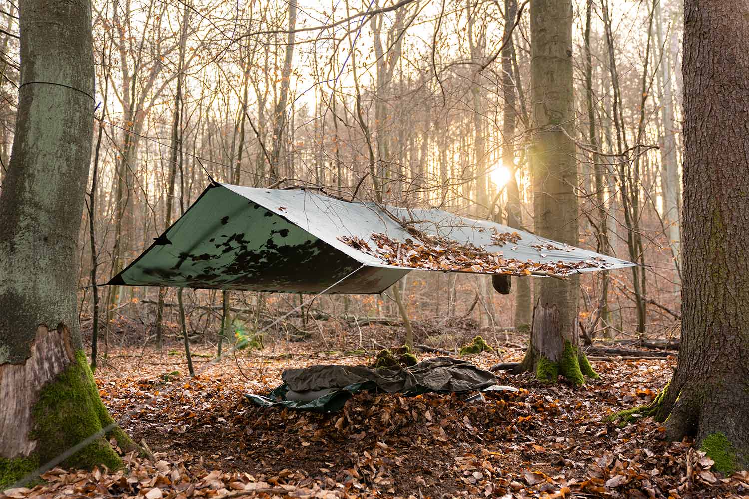Ein Tarp mit Schlafsack und Isomatte in unserem Waldgebiet bei einem Survival-Training.