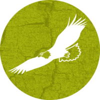 Die Grafik zeigt einen Adler als Symbol für den Überblick im Krisenmanagement. Der Outdoor-Erste-Hilfe-Kurs ist ideal für die Berufsgruppen wie Pädagogen, Erzieher, Lehrkräfte, Waldpädagogen, Bergführer, Wanderführer und Landschaftsführer.