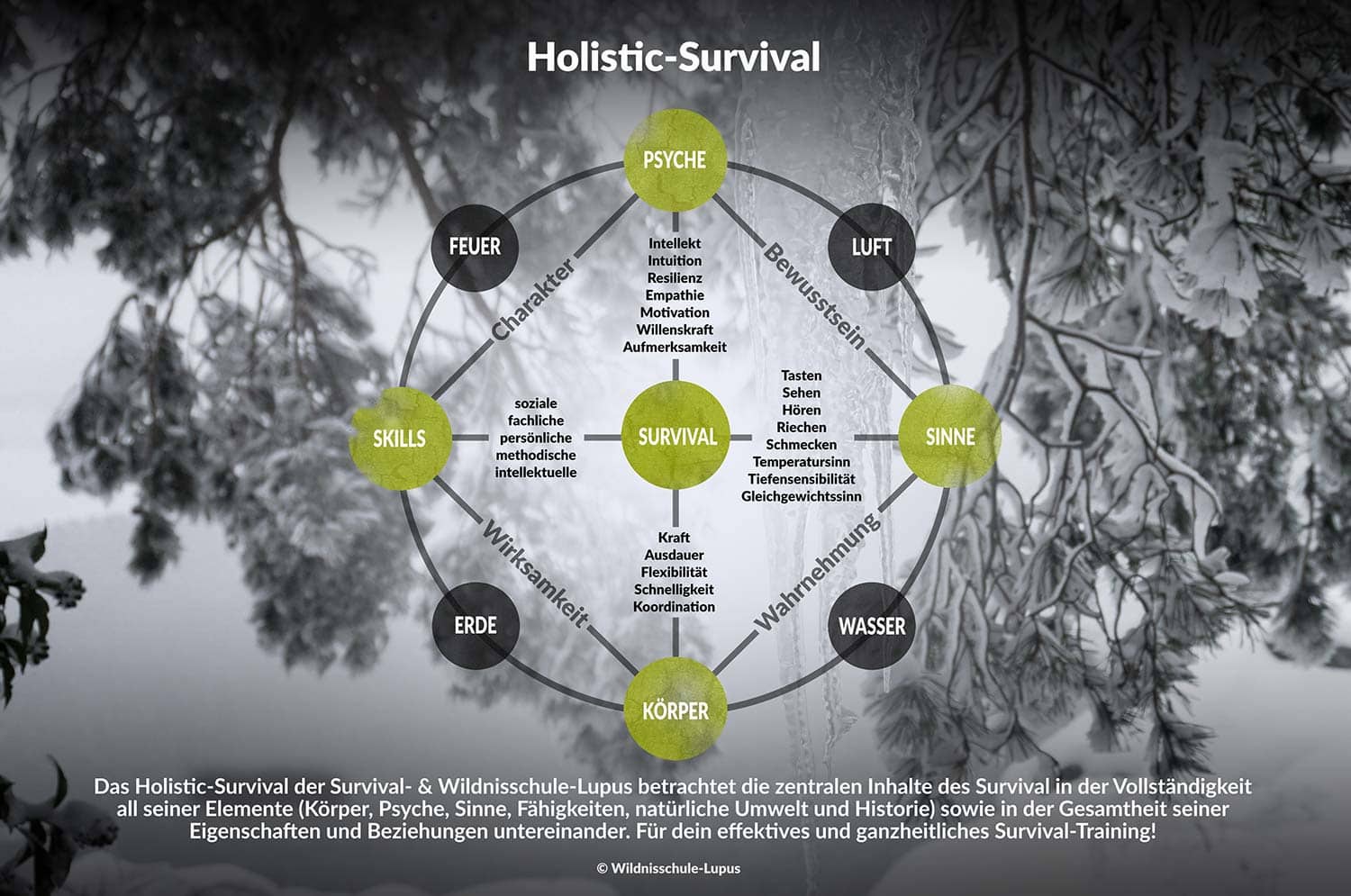 Die Grafik zeigt das Holistic-Survival Konzept der Wildnisschule Lupus. Die Wildnisschule die erste Bildungseinrichtung mit diesem innovativen ganzheitlichen Schulungssystem.