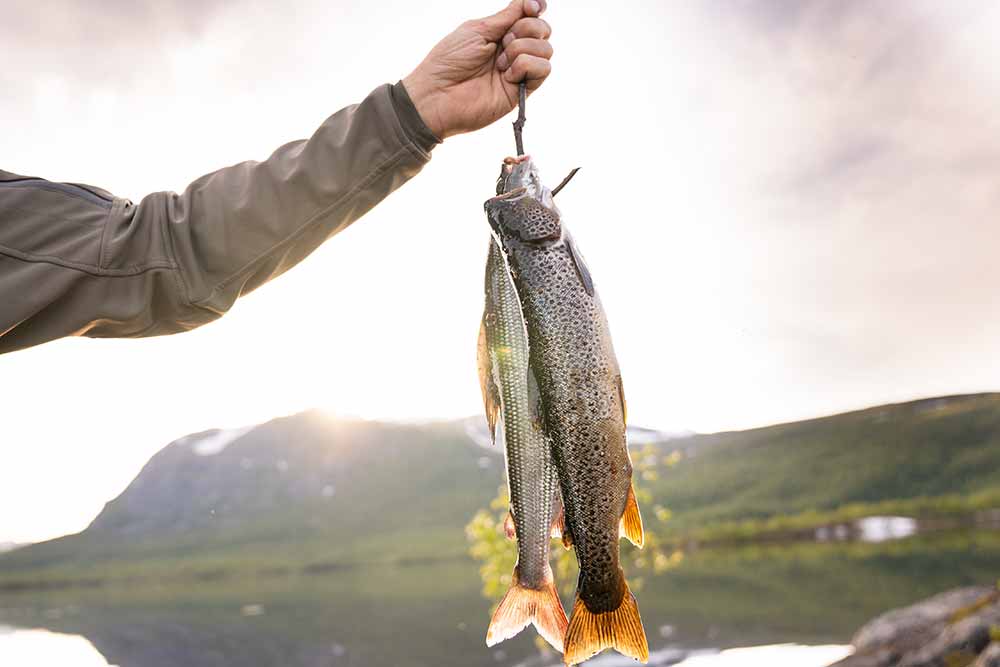Frisch gefangener Fisch auf einer Survival-Expedition in Schweden.