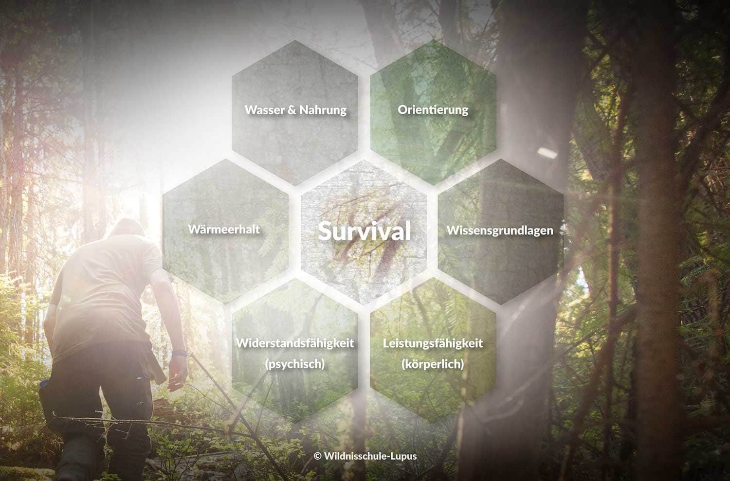 Die Grafik zeigt die sechs Notwendigkeiten im Survival. All unsere Survival-Trainings zielen darauf ab, dir das Wissen an die Hand zu geben, diese Notwendigkeiten in der Wildnis zu stillen.