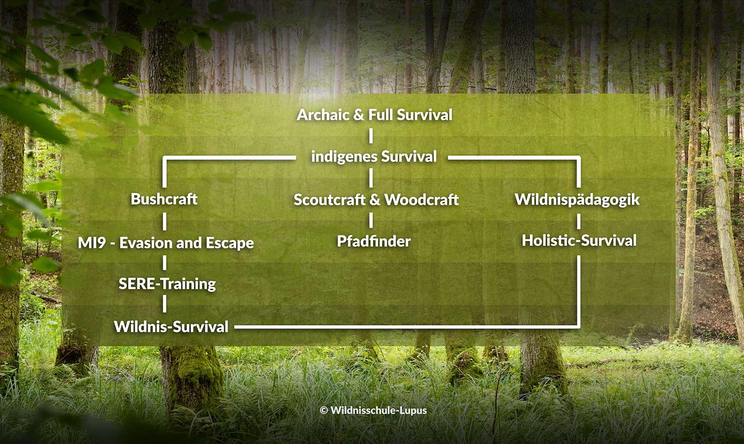 Grafik zur Verdeutlichung der verschiedenen Entwicklungsstufen des Survival.