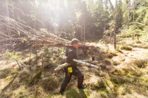 In Schweden trägt eine Survival-Experte Baumstämme durch den Wald für den Bau eines Survival-Camps zu den Teilnehmern des Kurses.