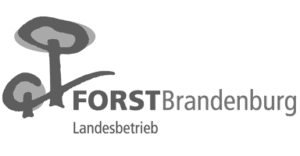 Logo des Kooperationspartner Landesbetrieb Forst Brandenburg