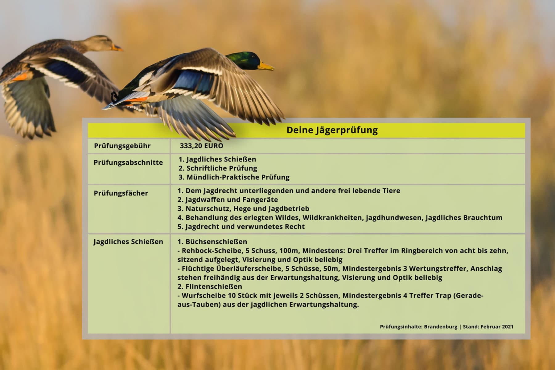 Übersicht und grafische Darstellung des Ablaufes unserer Jagdausbildung in der Jagdschule. Hier wird der Eigenstudium, die Praxis bis hin zu Jägerprüfung schematisch dargestellt.