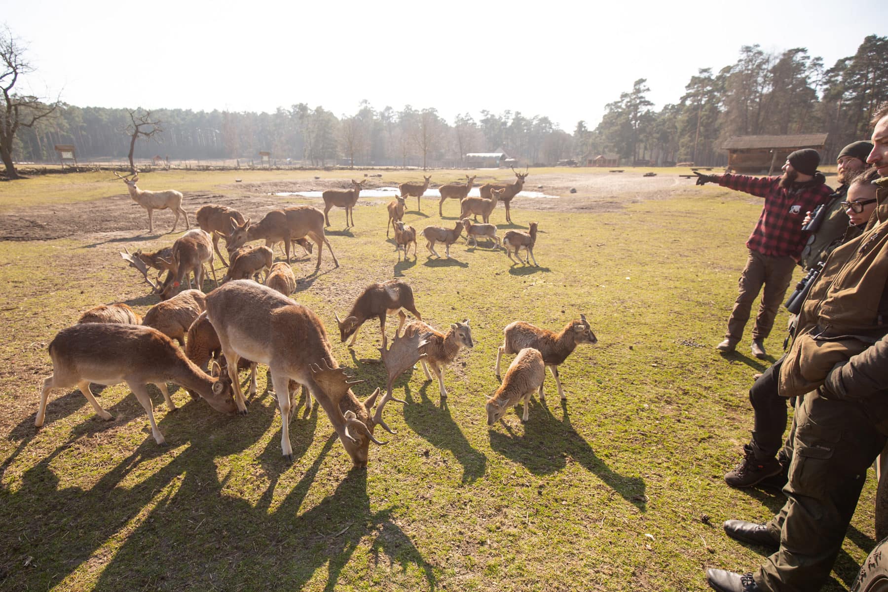 Auf dem Platz unserer Jagdschule stehen viele Rehe mit den Schülern unserer Jagdausbildung