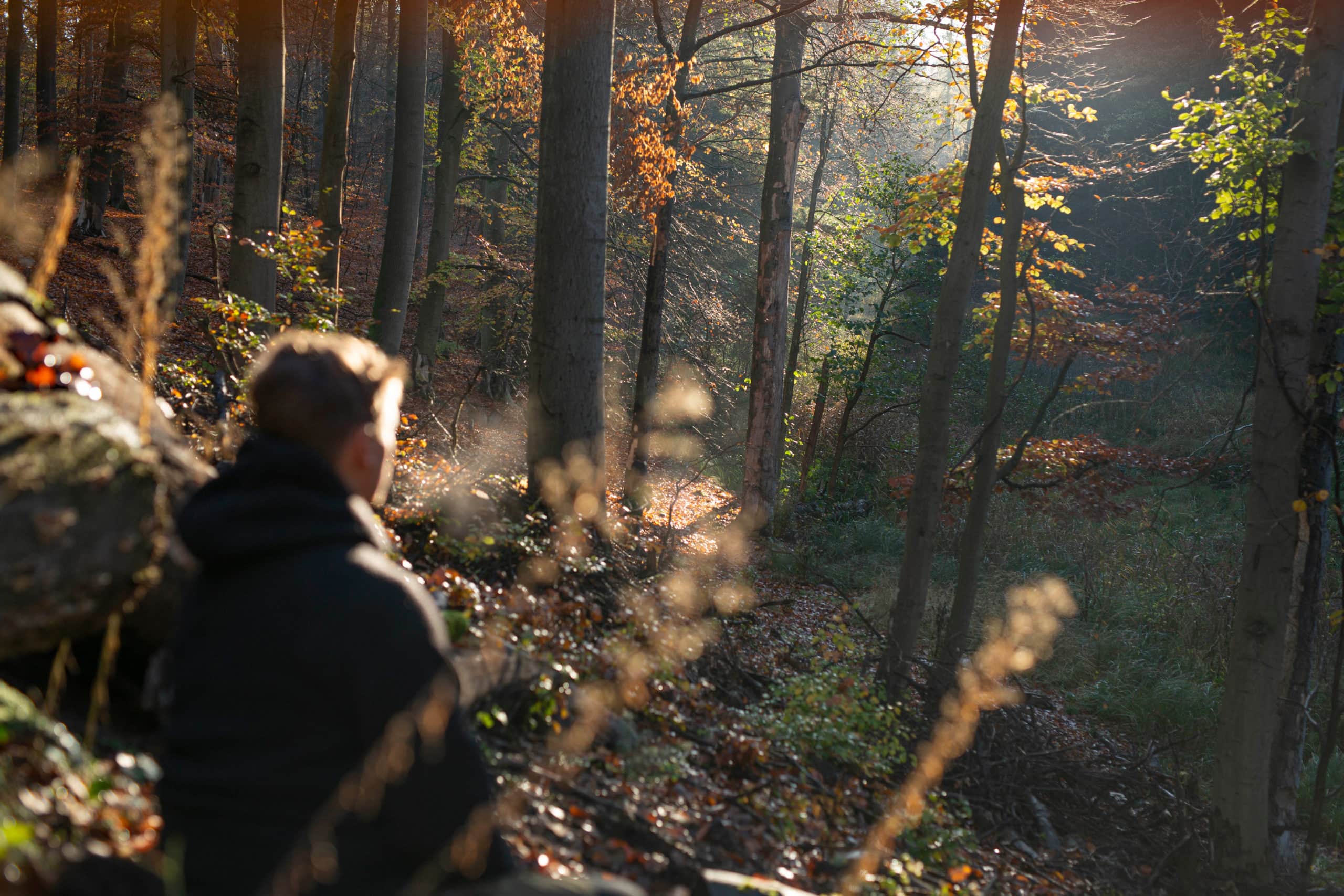 Teilnehmer von unserem Scoutkurs sitzt in der Natur nahe unserer Wildnisschule für Wildnispädagogik
