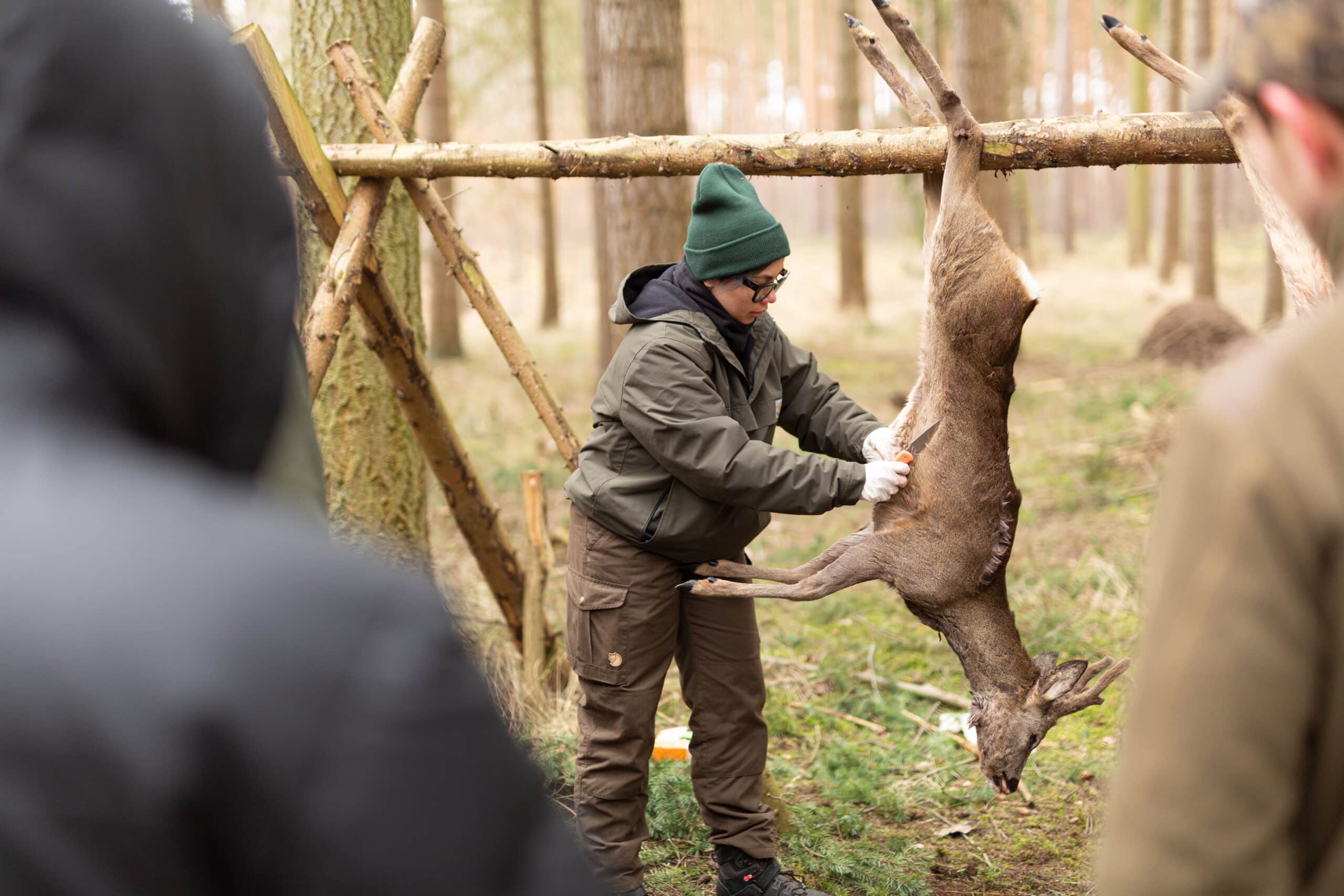 Eine Jagdschülerin steht im Lehrrevier vor einen Rehbock und schärft die Decke mit einem Jagdmesser ab.