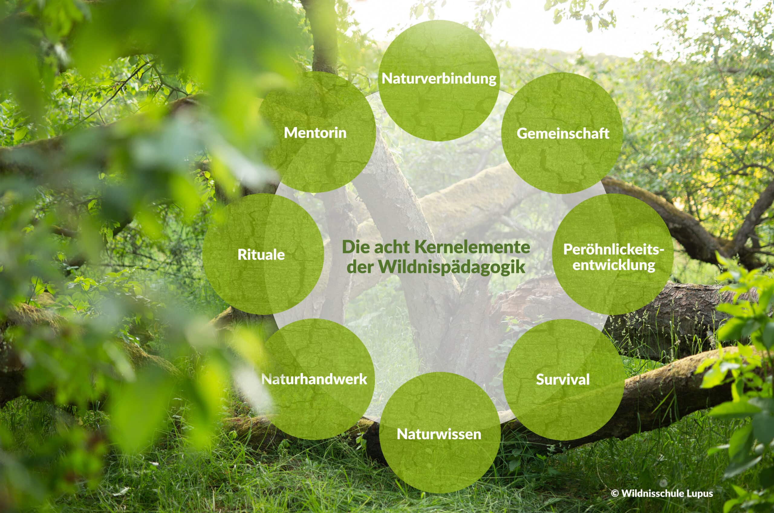 Eine Grafik, die die acht Kernelemente der Wildnispädagogik darstellt.