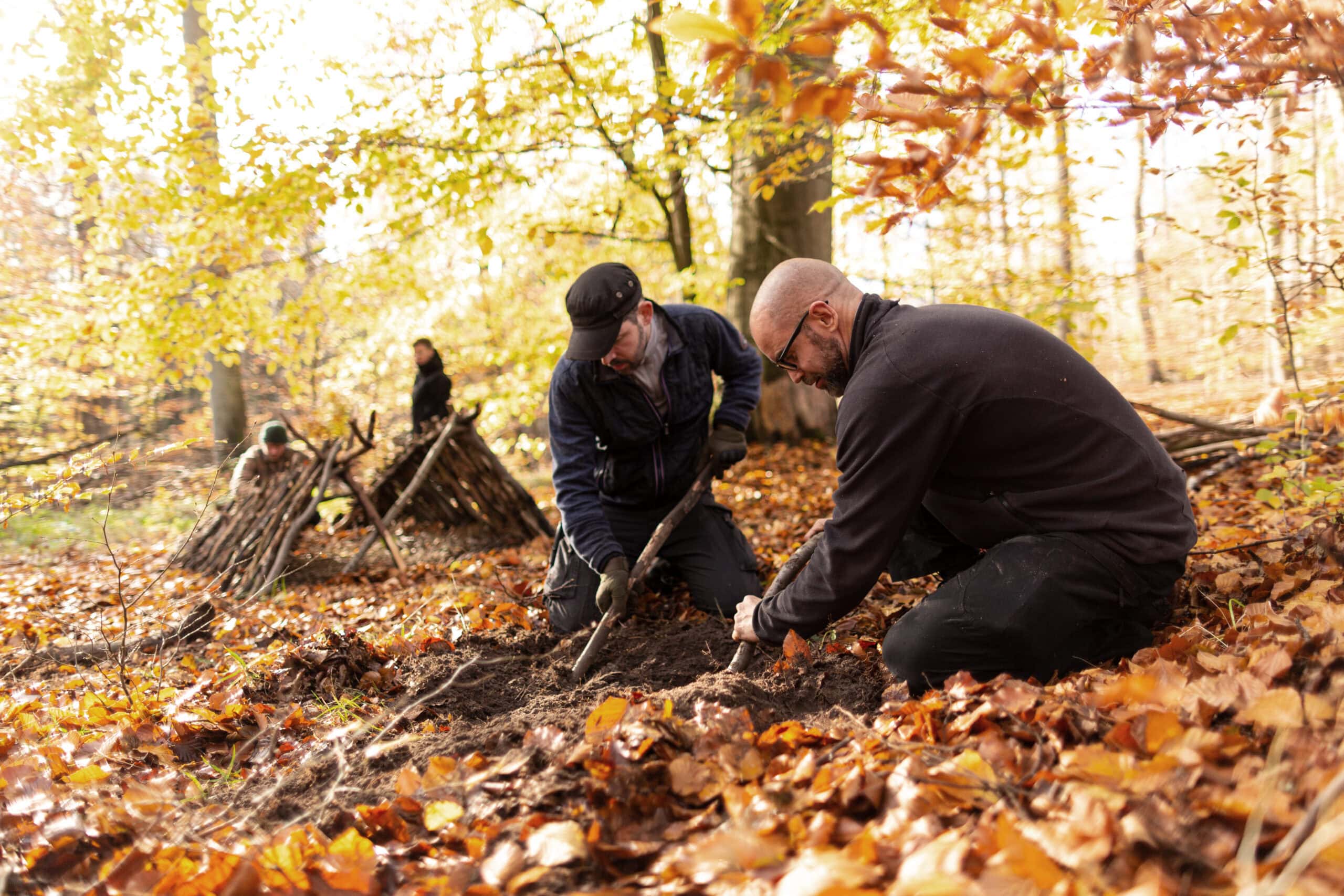 Gruppenarbeit beim Shelter-Bau im Herbstwald — Survival-Ausbildung mit maximal 12 Teilnehmern, Wildnisschule Lupus