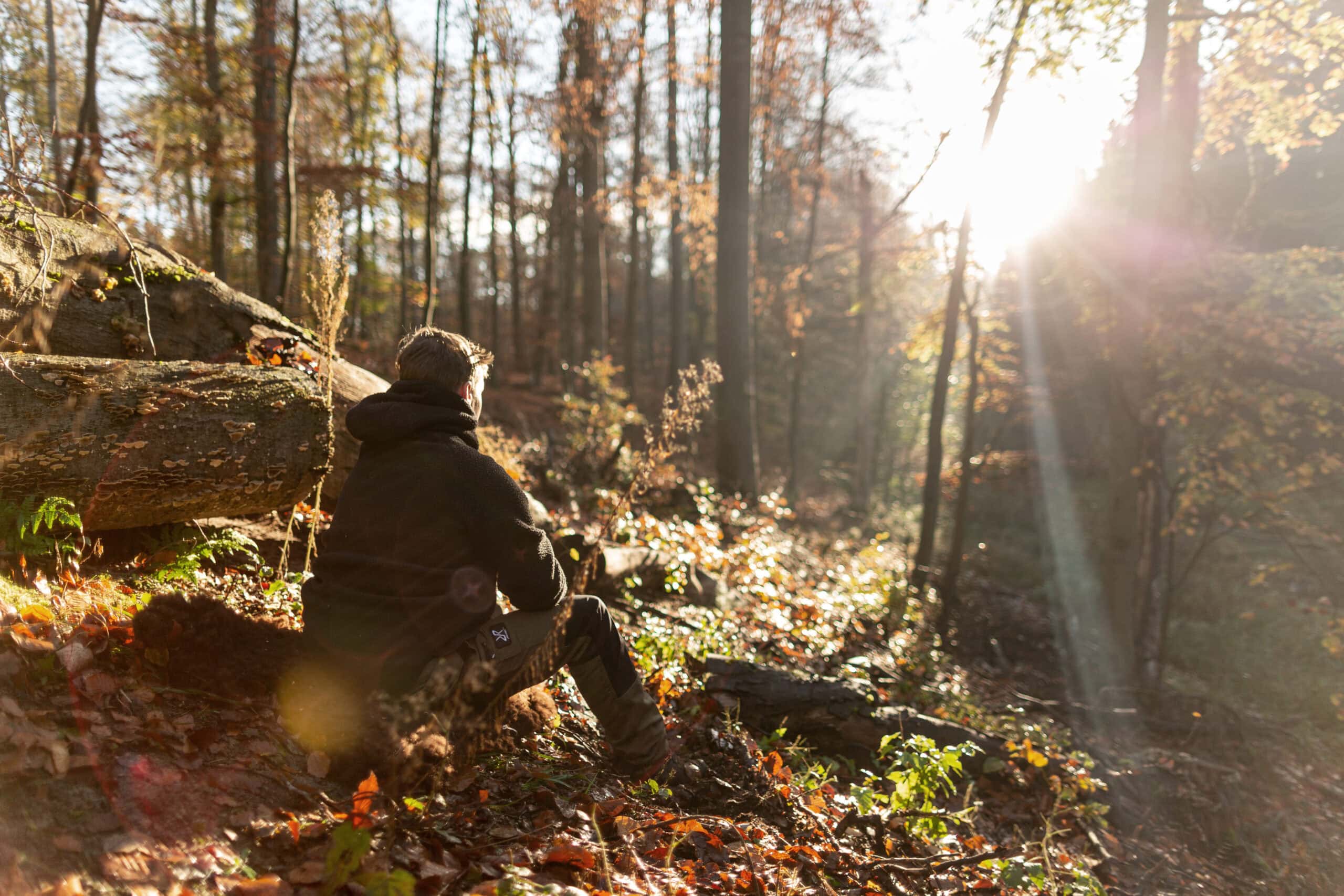 Solo-Übung im Herbstwald bei Gegenlicht — die Survival-Ausbildung steigert die Alleinzeiten von 4 auf 48 Stunden