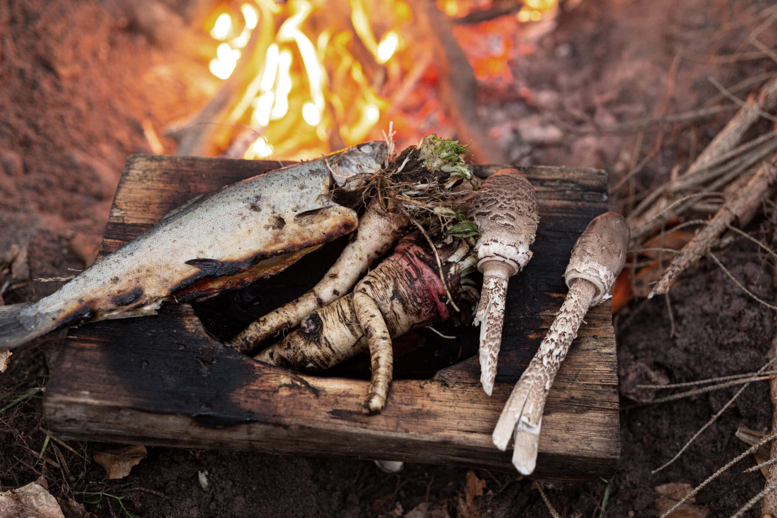 Fisch, Wurzeln und Wildpilze auf Holzbrett am Lagerfeuer — Nahrungsgewinnung im Survival Training der Wildnisschule Lupus