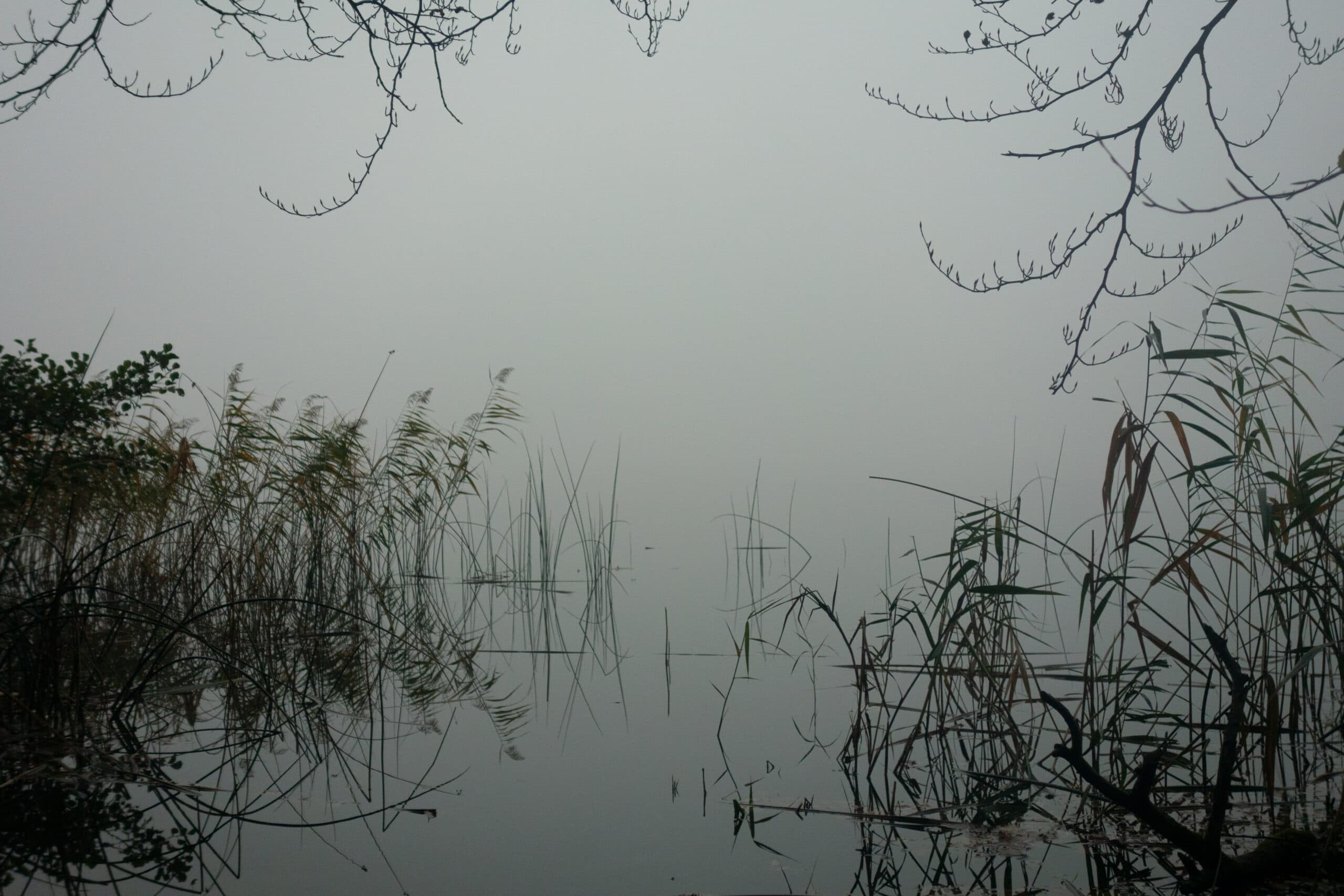 Waldgewässer im Morgennebel — Trainingsgebiet Survival Training Wildnisschule Lupus Brandenburg