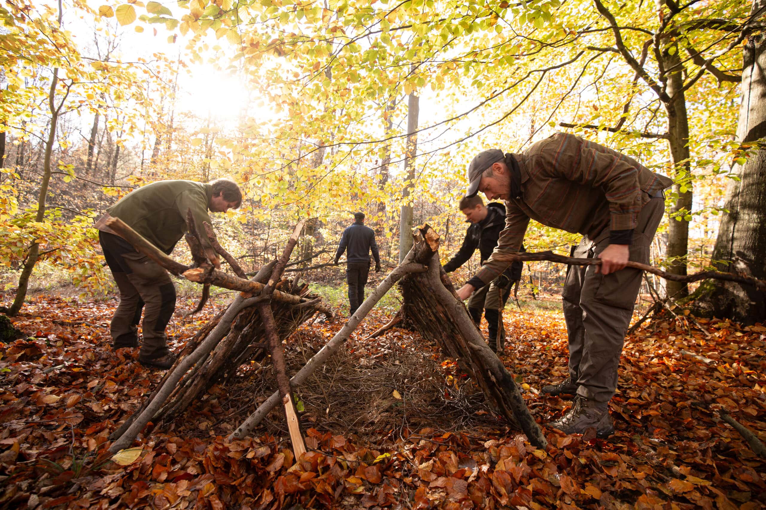 Teilnehmer bauen gemeinsam ein Shelter aus Naturmaterial beim Survival Intensivkurs — praktisches Training im Herbstwald
