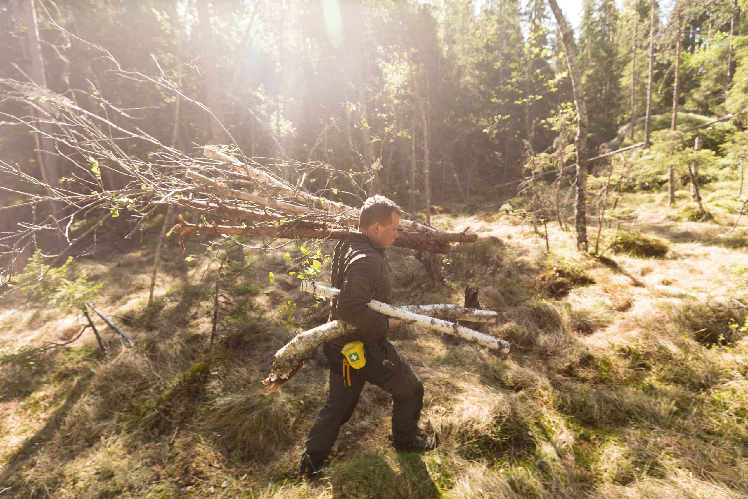 Teilnehmer trägt Holz für den Shelter-Bau im Survival Training — praktische Feldübung im Wald bei Maurice Ressel